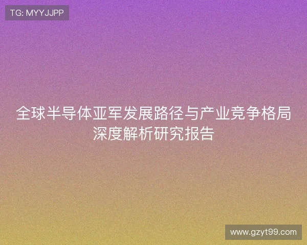 全球半导体亚军发展路径与产业竞争格局深度解析研究报告